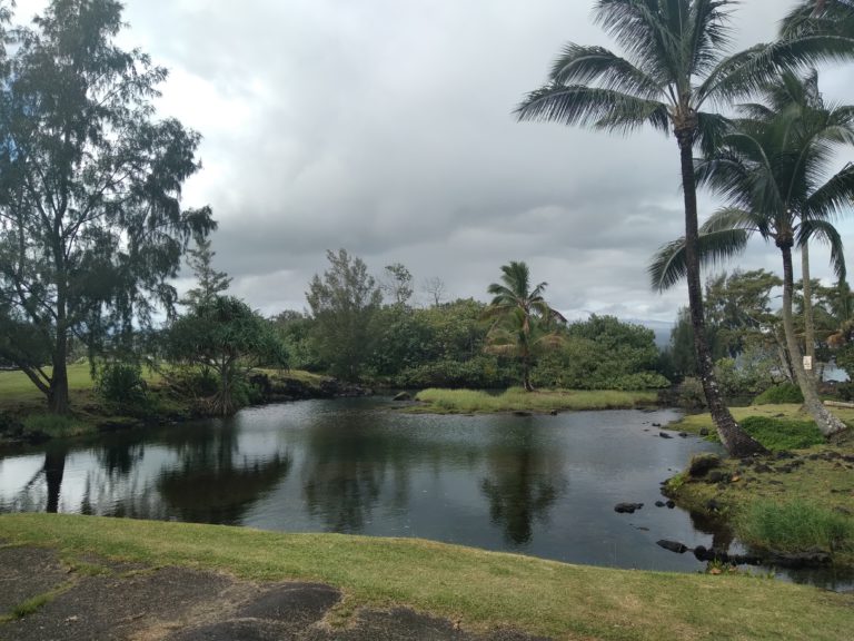 Keaukaha Beach Park A Safe, Leisurely Hilo KidFriendly Swimming Hole