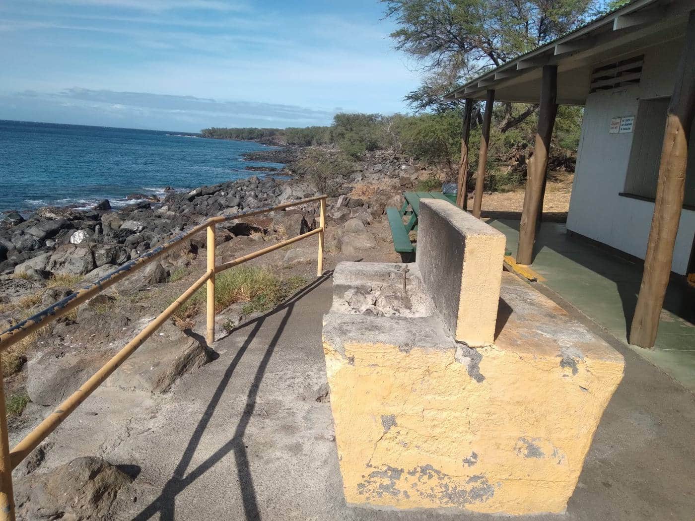 Kiawe trees at Kapaa Beach Park
