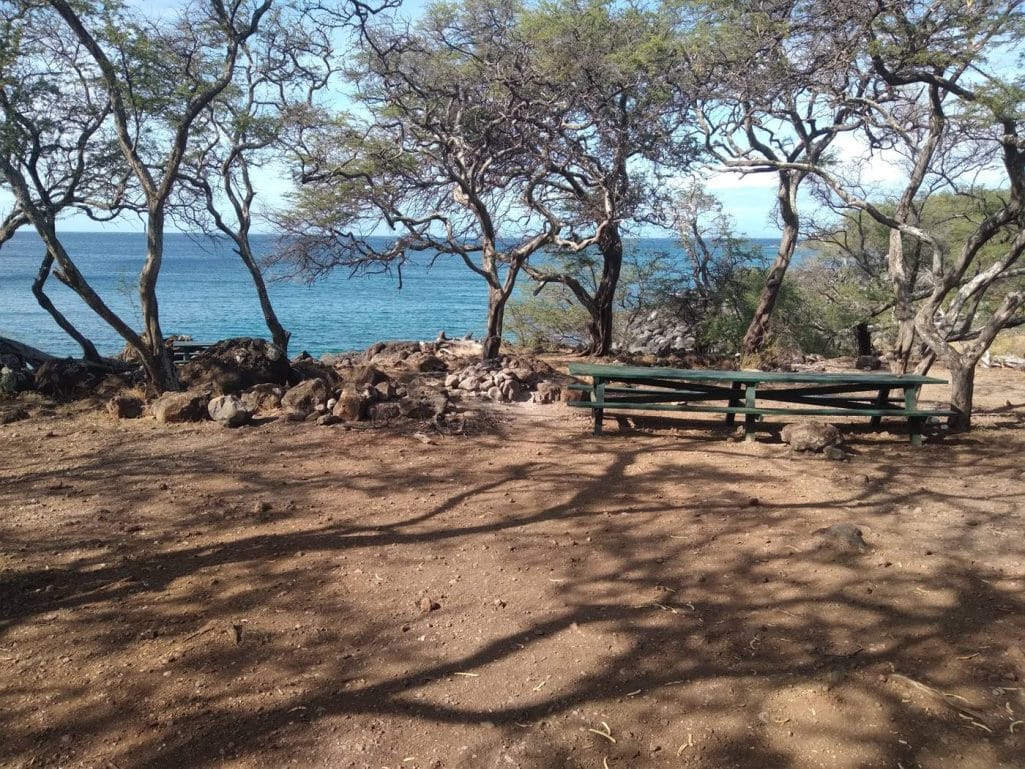 Picnic table and kiawe trees at Kapaa Beach Park