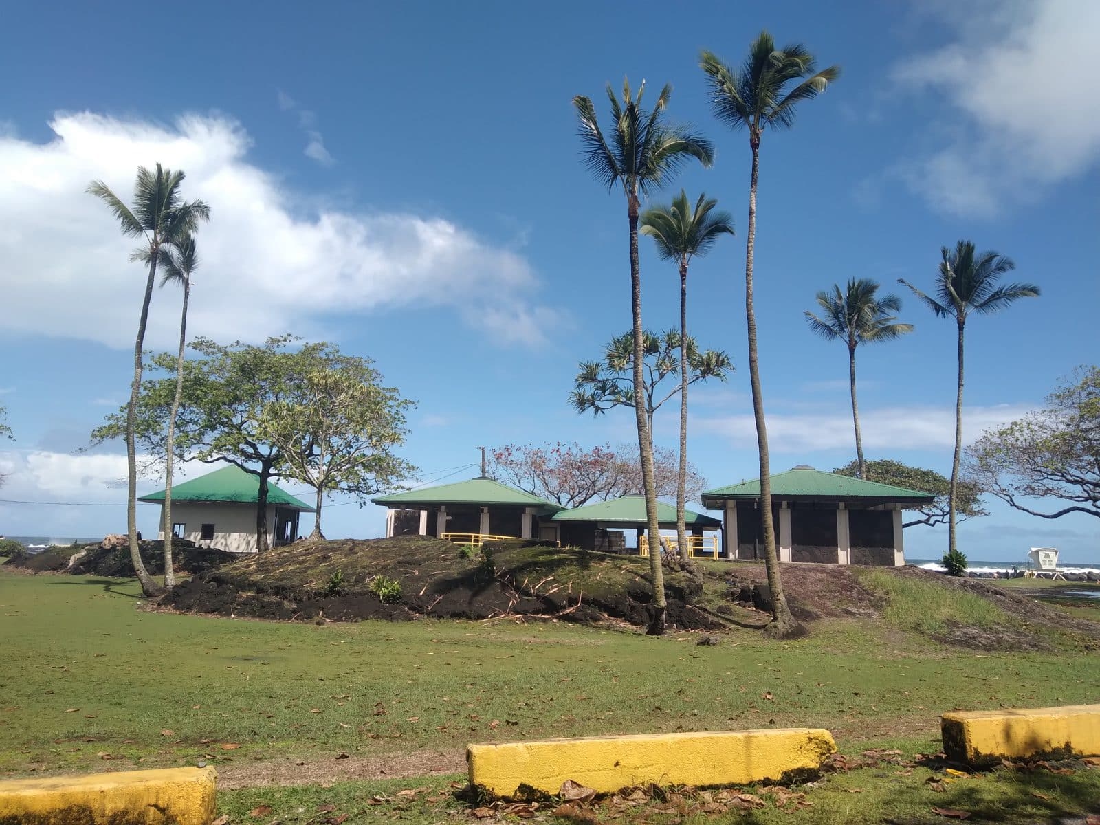 Pavilion and palm trees on the lawn at Onekahakaha Beach Park