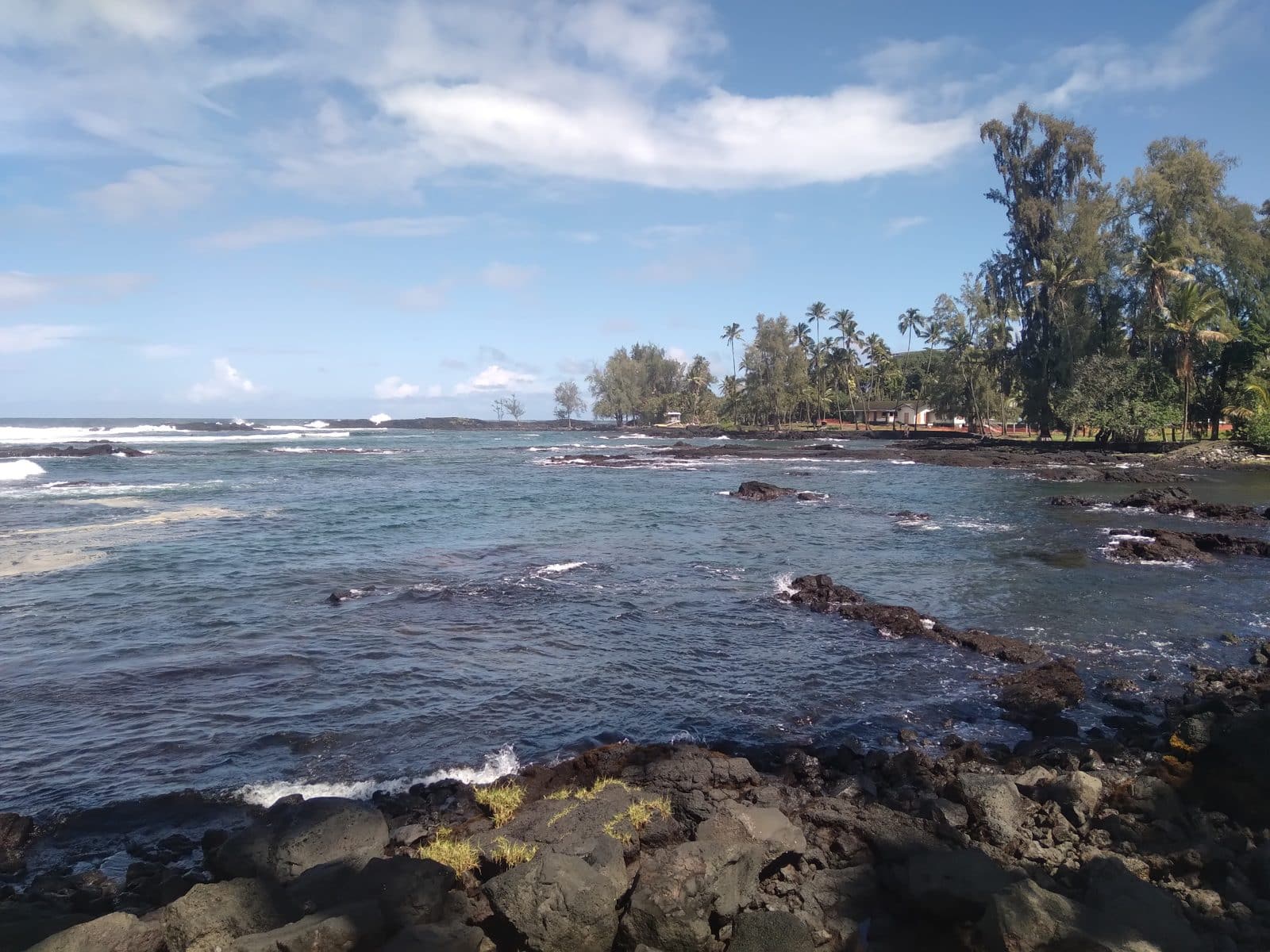 Rocky lava shoreline and coconut palms at Richardson Ocean Park, Hilo