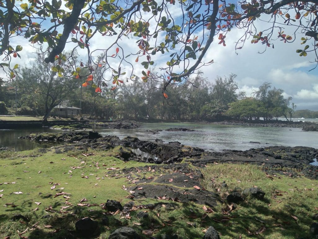 Tidepools and lava at Richardson Ocean Park, Hilo