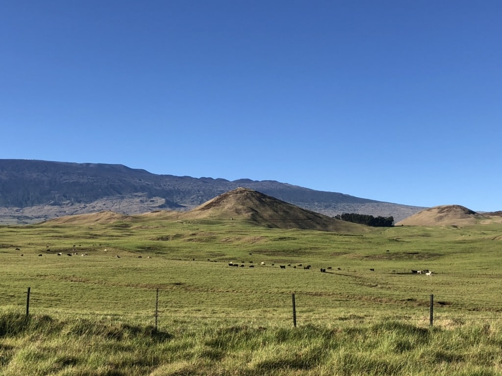 Saddle Road with Mauna Kea beyond ranch land